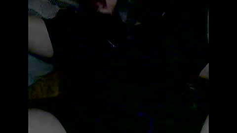 Snapshot of domanarchist chatting on 8, 12, 2024 Sullyboyx online show from 8, 12, 2024