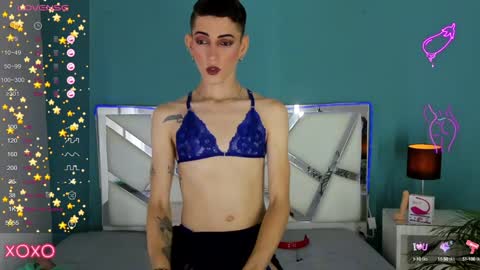 Snapshot of dominic_thailor chatting on 11, 12, 2024 Dominic online show from 11, 12, 2024