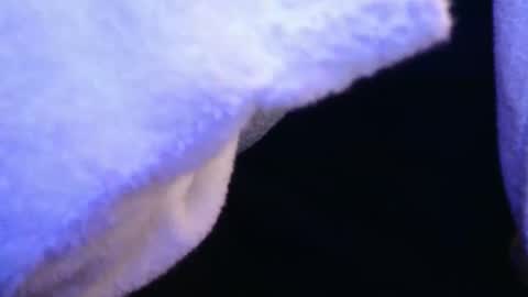 domse999 online show from 17, 2, 2025