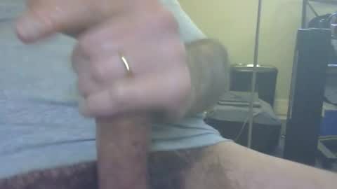 don_quixote3 online show from 4, 4, 2026