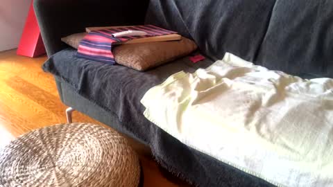 Snapshot of donizetti2017 chatting on 15, 1, 2025 Alfredo online show from 15, 1, 2025