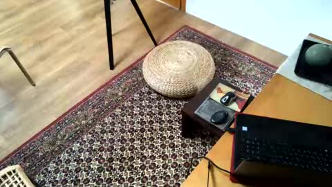 Snapshot of donizetti2017 chatting on 2, 2, 2025 Alfredo online show from 2, 2, 2025