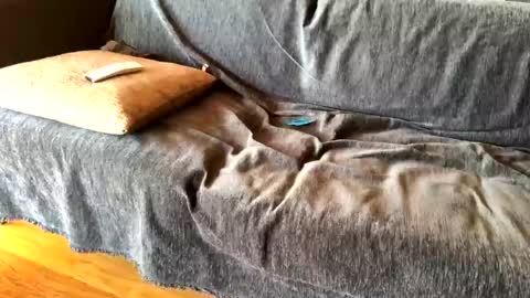 Snapshot of donizetti2017 chatting on 20, 2, 2025 Alfredo online show from 20, 2, 2025