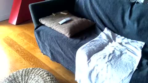 Snapshot of donizetti2017 chatting on 26, 2, 2025 Alfredo online show from 26, 2, 2025