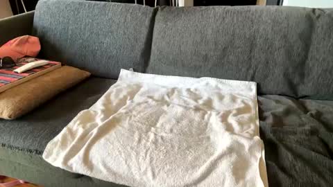 Snapshot of donizetti2017 chatting on 16, 9, 2025 Alfredo online show from 16, 9, 2025