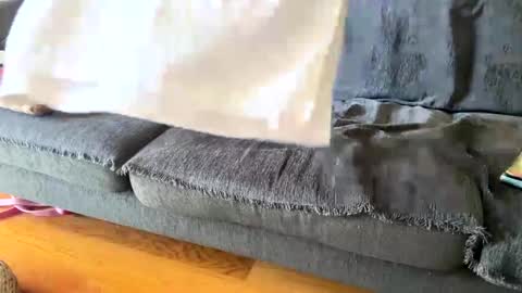 Snapshot of donizetti2017 chatting on 19, 9, 2025 Alfredo online show from 19, 9, 2025