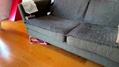 Snapshot of donizetti2017 chatting on 24, 9, 2025 Alfredo online show from 24, 9, 2025