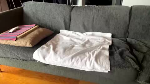 Snapshot of donizetti2017 chatting on 7, 10, 2025 Alfredo online show from 7, 10, 2025