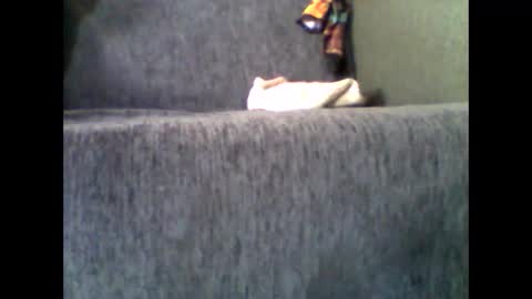 Snapshot of donizetti2017 chatting on 10, 11, 2025 Alfredo online show from 10, 11, 2025