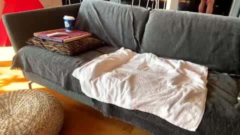 Snapshot of donizetti2017 chatting on 13, 11, 2025 Alfredo online show from 13, 11, 2025