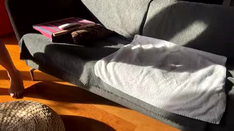 Snapshot of donizetti2017 chatting on 2, 12, 2025 Alfredo online show from 2, 12, 2025