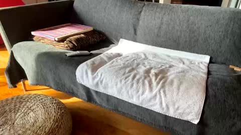 Snapshot of donizetti2017 chatting on 3, 12, 2025 Alfredo online show from 3, 12, 2025