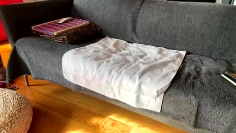 Snapshot of donizetti2017 chatting on 4, 12, 2025 Alfredo online show from 4, 12, 2025