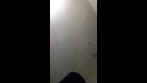 Snapshot of donkeykong34418301 chatting on 3, 3, 2026 donkeykong34418301 online show from 3, 3, 2026