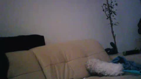 Snapshot of donosus chatting on 18, 1, 2026 donosus online show from 18, 1, 2026