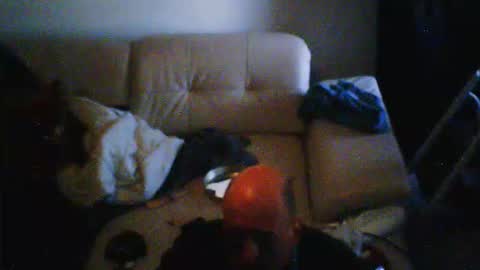 Snapshot of donosus chatting on 28, 2, 2026 donosus online show from 28, 2, 2026