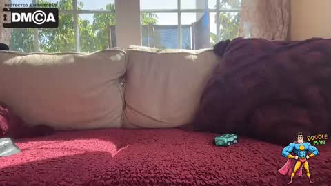 doodleman2077 online show from 7, 10, 2025