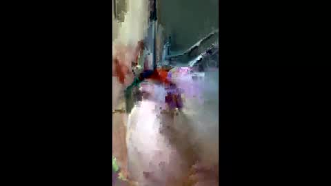 doogie215 online show from 3, 3, 2026