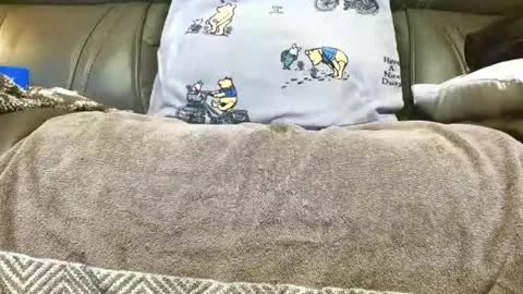 Snapshot of doorguy6954 chatting on 14, 11, 2025 LuvmycockTS69 online show from 14, 11, 2025