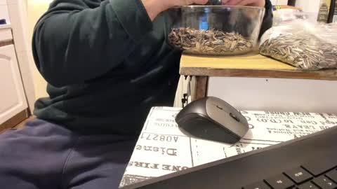 menu  below online show from 1, 1, 2025