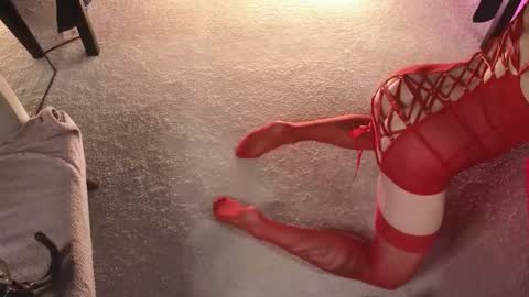 Dorothy Next stream on Monday at 3am-9am online show from 20, 11, 2025