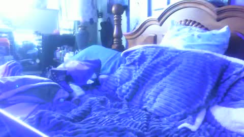 dreaded_folks online show from 16, 12, 2025