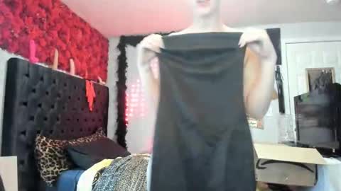 Your Majesty online show from 28, 1, 2025