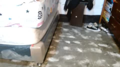 dreamreal online show from 11, 4, 2026