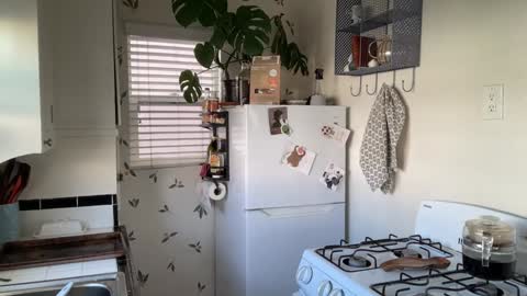 RIRI OR DREAMY online show from 27, 1, 2025