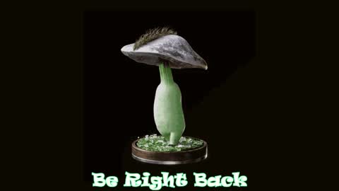 Snapshot of drillhouse_ chatting on 28, 1, 2025 Tara Sonny online show from 28, 1, 2025