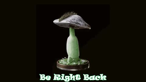 Snapshot of drillhouse_ chatting on 20, 2, 2025 Tara Sonny online show from 20, 2, 2025