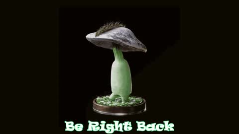 Snapshot of drillhouse_ chatting on 27, 2, 2025 Tara Sonny online show from 27, 2, 2025