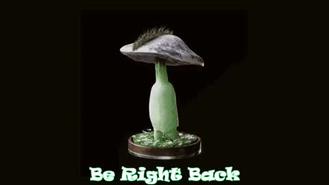 Snapshot of drillhouse_ chatting on 2, 10, 2025 Tara Sonny online show from 2, 10, 2025