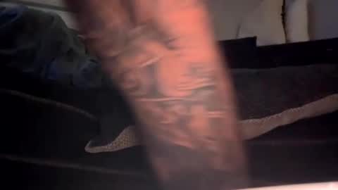 Snapshot of drippinggenie chatting on 3, 1, 2025 drippinggenie online show from 3, 1, 2025