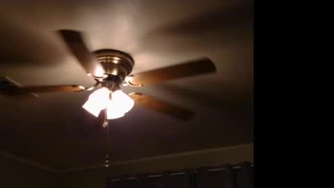 Snapshot of drippingwetfilipinapussy chatting on 9, 11, 2025 WetFilipinaPussy online show from 9, 11, 2025