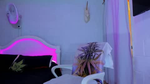 drippyorlove online show from 17, 9, 2025