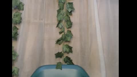 linda online show from 10, 1, 2026