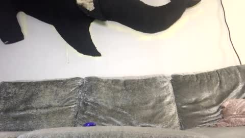 Snapshot of drobbb656 chatting on 8, 2, 2026 2xTheTrouble online show from 8, 2, 2026