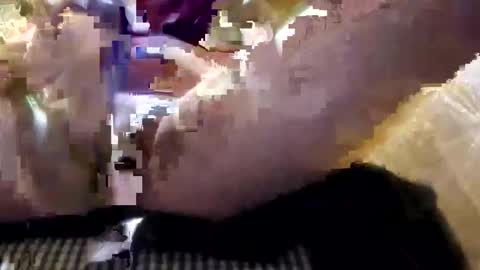 droc1824 online show from 21, 10, 2025