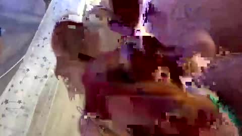 droppingloads82 online show from 1, 2, 2025