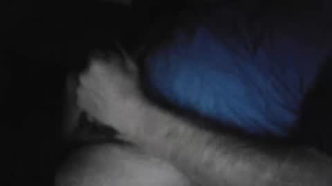 drthick1224 online show from 3, 11, 2025