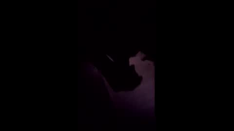 drush1973 online show from 18, 1, 2026