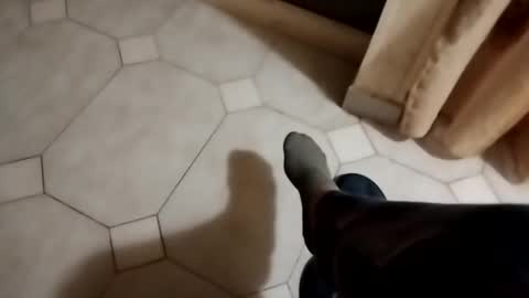 dthedog12 online show from 14, 10, 2025