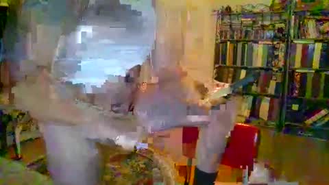 duallines2 online show from 14, 3, 2026