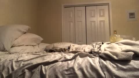 Snapshot of ducebabydee chatting on 19, 12, 2025 ducebabydee online show from 19, 12, 2025