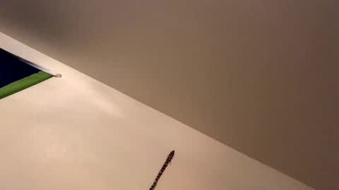 Snapshot of ducebabydee chatting on 19, 1, 2026 ducebabydee online show from 19, 1, 2026