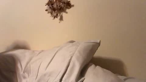 Snapshot of ducebabydee chatting on 5, 2, 2026 ducebabydee online show from 5, 2, 2026