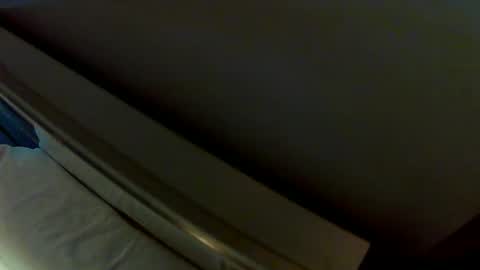 dudeniceguyisback online show from 21, 12, 2024