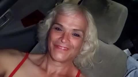 dustbunny64 online show from 13, 3, 2026