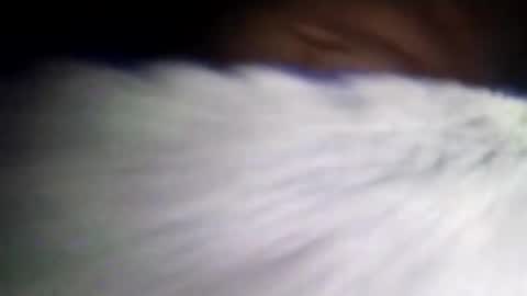 Snapshot of duvanarleyy chatting on 16, 10, 2025 duvanarleyy online show from 16, 10, 2025